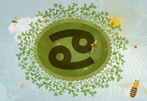 专属巨蟹座高效时间秘籍