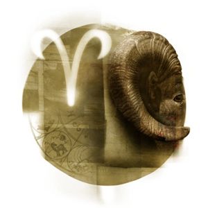 白羊女没钱也爱任性