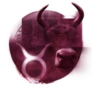 金牛女没钱也爱任性