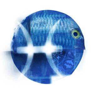 双鱼女没钱也爱任性