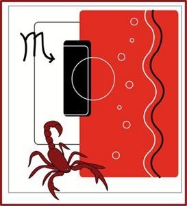 天蝎座爱情吉日吉时(图片来源于轻博客)