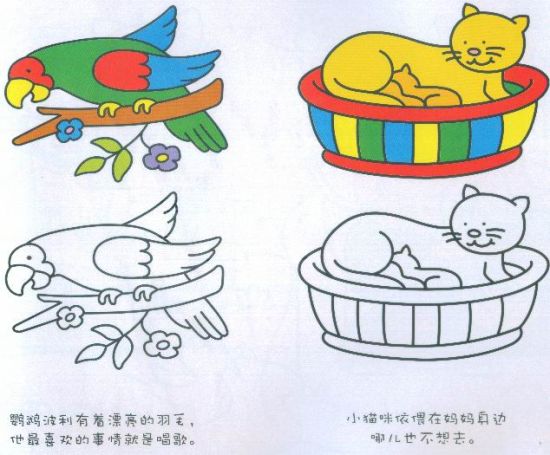 家庭早教技巧之涂色画：宝宝美感如何培养