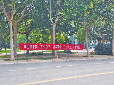 商丘学院的“霸气条幅”