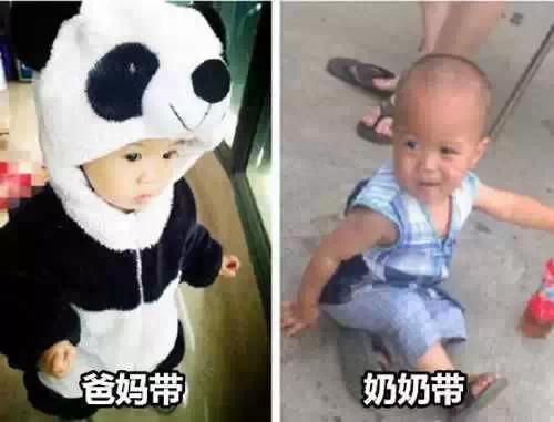 呆萌小熊猫一秒变村口放羊娃