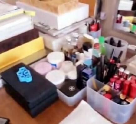 王菲的化妆用品