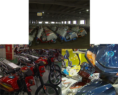 对电动自行车生产企业来说，他们希望这个符合环保理念的产品能继续扩大市场；对摩托车企业来说，他们希望自己的传统优势能与电动车技术结合，带出一块新的增长空间。