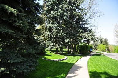 邻居跑步锻炼忙