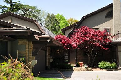 屋前有树格外红