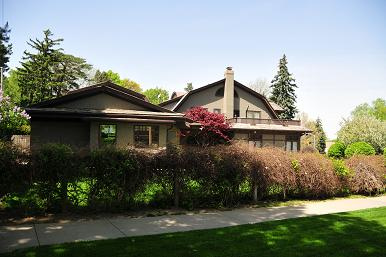 枯枝败叶煞风景