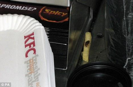 蟑螂在肯德基快餐店派餐区吃薯条