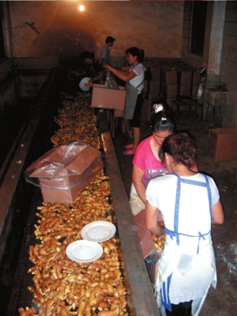 山东安丘蒜姜批发市场的一个洗姜车间内，工人们彻夜工作，以在最短的时间内将生姜运出。本报记者王阳摄