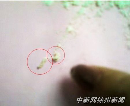 画圈处为从奶粉中挑出的虫子。