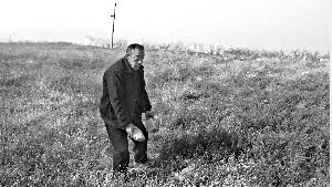  　　南焦村村民李素岐在复垦的“耕地”里，捡起两个碗大的石头。这片土地上布满了石头，无法耕种。