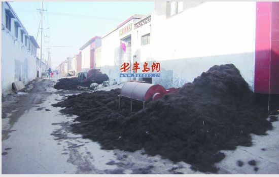 村里毛发堆得到处都是