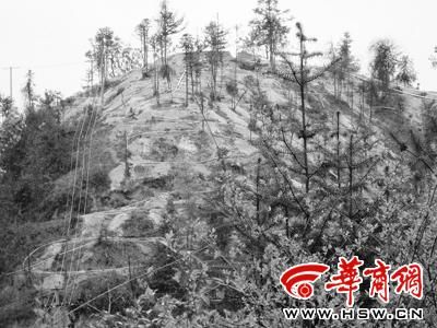 布满山体的白色管道将稀释的稀土原液输往山下