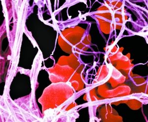 资料图片。(来源：广州日报)