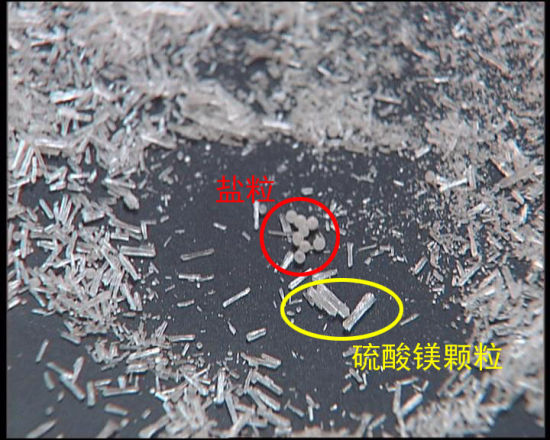 央视截图  味精颗粒