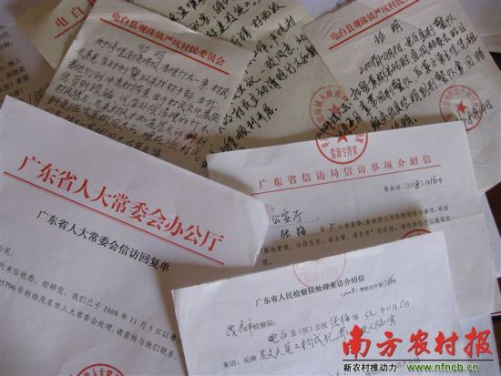 电白观珠镇严坑村支书莫彬戴罪复职，案件谜团待解。