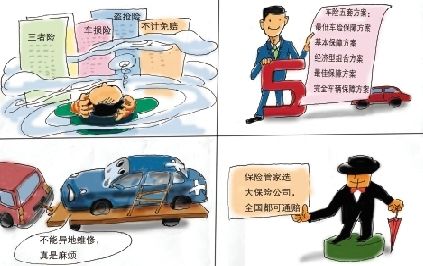 专家推荐五大组合