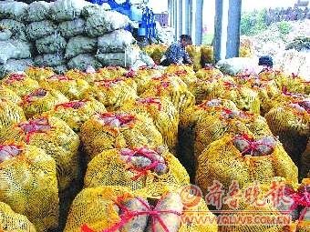 整齐地摆放在匡山农产品批发市场内的土豆 齐鲁晚报记者 马云云 摄