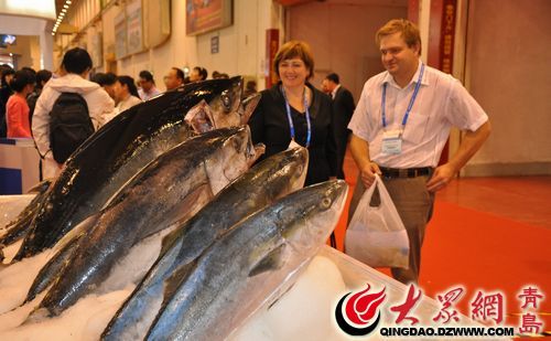 原生态金枪鱼被放在展位前，最大的一条重80斤，市场价3000元左右。