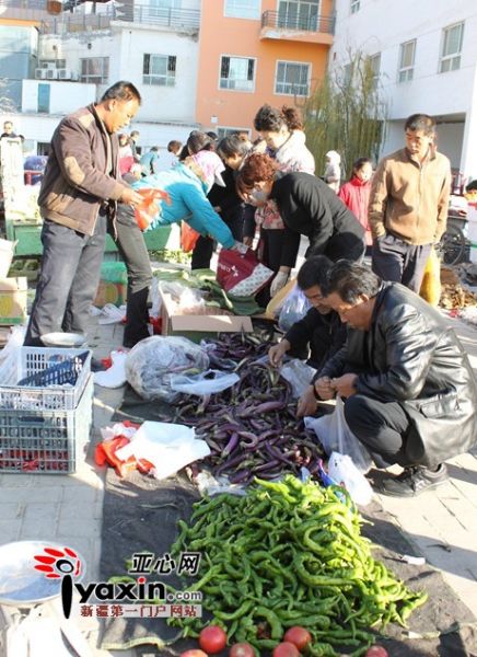 酒泉：政府相关部门在城区增设农民自产蔬菜直销区，免收各种费用，平抑菜价。