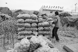 农民将马铃薯运到市场等待销售