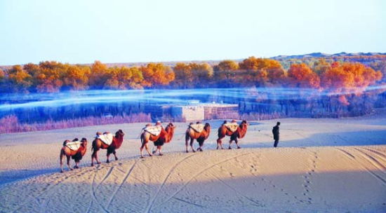 达里雅布依之晨。