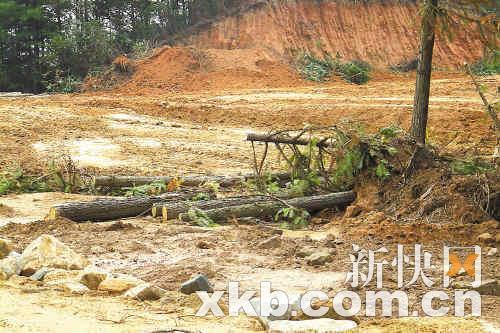 遭大面积砍伐、被严重破坏的森林。（资料图）