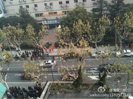 网友清爽SWEET：不明真相群众围观。