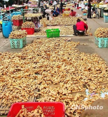 　　资料图：近日有报道称，云南文山的鲜姜价格已从去年的每斤2.8元降至目前的0.8元。而此前有中国姜仓之称的山东安丘，生姜价格也出现90%的跌幅。