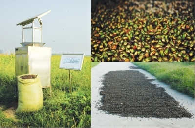 佳多频振式杀虫灯——害虫克星