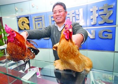 IT公司老总卖鸡。 宋峤 摄