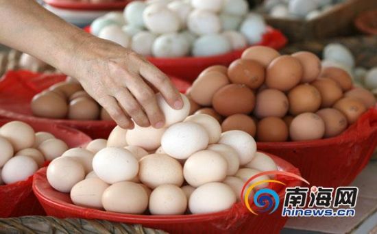 2011年，海南鸡蛋价格持续高位上涨已让海南民众无法“淡定”(南海网记者 张茂 摄)