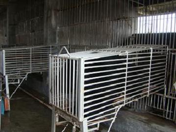 生产车间图片三 本报记者余叶摄影。