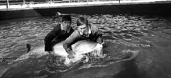 两个工人正在捕鱼