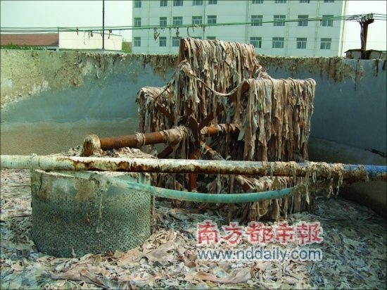 　通常清洗三四个小时后，又脏又硬的废皮革就变得干净、柔软了。