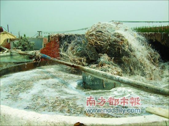 翻转的洗皮机正在池中刷洗皮料。