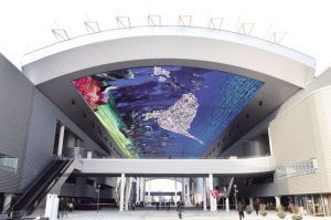 丽水的世博园区