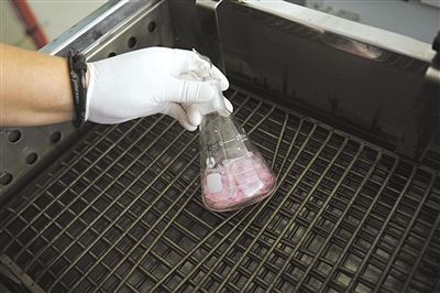 图5：将装有服装碎料和蒸馏水的三角瓶放在振荡器里进行萃取。