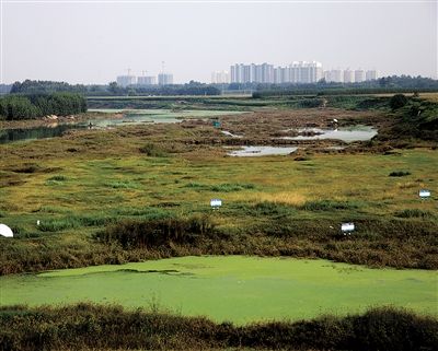 除了与北京的距离近，香河的区位优势还表现在景观特别是水资源上。 新京报记者 邸晋军 摄