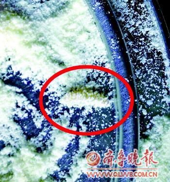 　　4月10日，东营张女士家月嫂在孩子奶粉中发现一只约1厘米长活虫，虫子还连着一串絮状物。涉事奶粉系贝因美某婴幼儿配方奶粉。(《齐鲁晚报》)