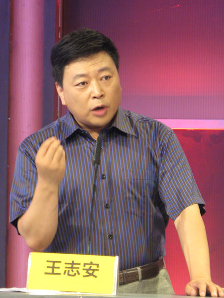 媒体评论员王志安