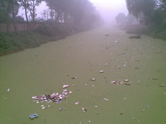 　　北京缺水，已是不争的事实。水污染又加剧了水短缺。奢侈性水消费行业，耗水惊人，更进一步加剧了水短缺。图为温榆河支流的南沙河水面，一片浮绿，给人以草坪的假象，水面飘着垃圾，下面是脏臭的水。  陈霄 摄
