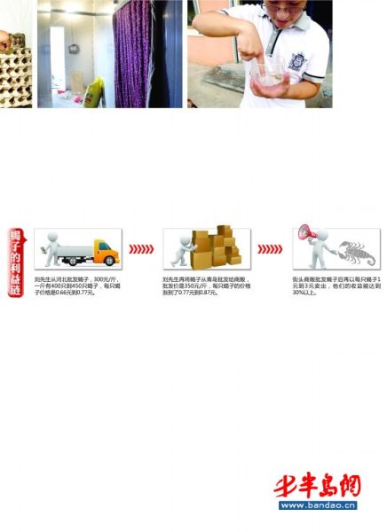 王川养殖室的门盖上了厚厚的棉被 记者与蝎子