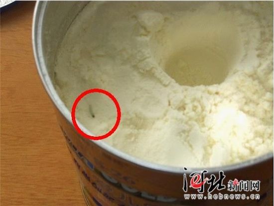 惠氏奶粉中的活虫