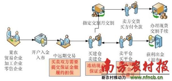 　　赣南脐橙电子交易市场本来有两个交易流程：一是合约到期的现货交易，二是提前平仓的获利出金，但实际运行中现货交易一环却被舍去。 资料图片
