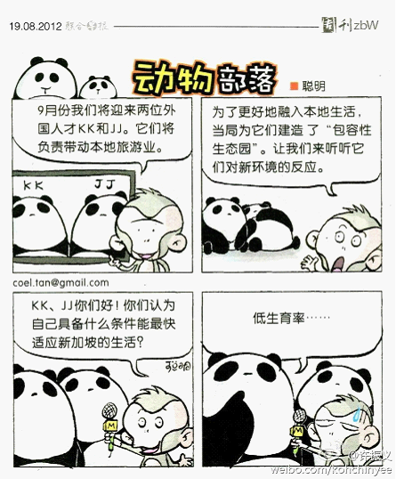 新加坡人联系该国低生育率对熊猫到来的调侃。（漫画来源：联合早报）
