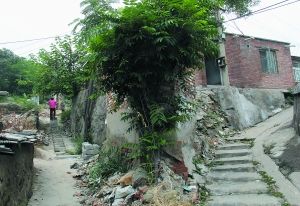 　　苹果园地铁站北边的金顶山村环境脏乱，山上的一些房屋已经拆除，因房租便宜，很多流浪汉、“乞丐”聚居于此。