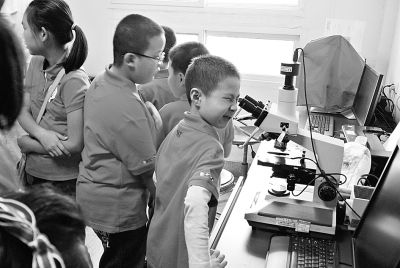 嘿，小家伙，看到什么了。宗晓斌 摄